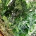 はなあめ's cooksnap of when they made 捨てないで！大根の葉っぱでお漬けもの！.