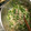 yuripon☆'s cooksnap of when they made 豆苗とモヤシえのきのツナ和え.
