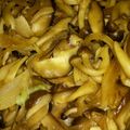 マグダレアン's cooksnap of when they made 我が家の常備菜 きのこの和風マリネ？.