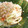 ｂａｎａｎａ２号's cooksnap of when they made ちょっピリ辛☆ちくわとキャベツのマヨ炒め.