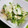 みっくママ's cooksnap of when they made 簡単☆きゅうりとささ身のサラダ.