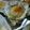 あきぃ∞'s cooksnap of when they made フライより簡単☆オイスターロックフェラー.