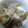ゆききっちん's cooksnap of when they made ゴボウと白ネギのニンニク炒め.