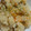 そらそらそらしど's cooksnap of when they made 簡単♪炊飯器で★シーフードピラフ☆★.