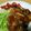 美猫0120's cooksnap of when they made ☆鶏の照り焼き☆.