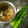 kuragenoie's cooksnap of when they made 菜の花の胡麻和え.