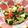 YUKIKI☆'s cooksnap of when they made アボカド☆胡瓜♡トマトの納豆和え.