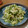 mansk's cooksnap of when they made 簡単さっぱり★もやしときゅうりのナムル.