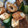 たえゆ's cooksnap of when they made 簡単副菜♪きゅうりと竹輪のごま和え.