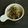 ごにょ's cooksnap of when they made いつでも味決まる！きんぴらごぼう.