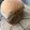 まさコ's cooksnap of when they made HBで☆あずきもち食パン.