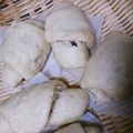 ひとみn♪'s cooksnap of when they made 酒種でふわりと香る♪薄力粉のマントウ.