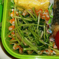 natsu_i's cooksnap of when they made 【お弁当】豆苗とえのきの中華炒め.