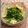みゆwaco 's cooksnap of when they made 水菜の煮びたし.