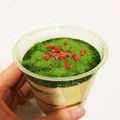 みずたにまほ's cooksnap of when they made とっても簡単♡抹茶ティラミス.