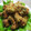 caramel-cookie's cooksnap of when they made アジの竜田揚げ☆カレー風味☆.