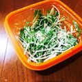 鈴子☆'s cooksnap of when they made 1分でできる！水菜とツナマヨサラダ.