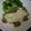 さくリコ's cooksnap of when they made 我が家のチキン南蛮^^.