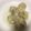 クック0ZIOK9☆'s cooksnap of when they made 市販の皮で簡単に♪ジューシー小籠包☆.
