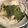 たなかno's cooksnap of when they made 便秘対策（￣∀￣）ｂ　栄養ヨーグルト.