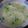 まあくんのおくさん's cooksnap of when they made あっさりシリーズ＾＾冬瓜の中華風スープ.