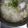 あかぷり's cooksnap of when they made 牡蠣おろしスープ♪.