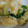 sitimi99's cooksnap of when they made 行者にんにくの卵とじ.