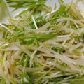 くちびるこ's cooksnap of when they made 水菜ともやしのあっさりサラダ.