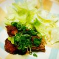 HaLCioNR's cooksnap of when they made 唐揚げのシャンタンネギソースがけ.
