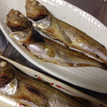 夕飯は６時です's cooksnap of when they made ハタハタの塩焼き.