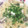 じーたぷ's cooksnap of when they made あさりと野菜の和風スープパスタ.