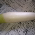 アスカチャチャ's cooksnap of when they made 冬季限定☆大根の保存法.