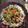 クック8HK1NB☆'s cooksnap of when they made 簡単散らし寿司.