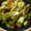 低カロ探検隊's cooksnap of when they made さば味噌煮缶でちゃんちゃん焼き風野菜炒め.