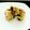 クック90ZOQP☆'s cooksnap of when they made チョコスコーン☆～スタバをめざして～.