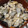 わく智's cooksnap of when they made めんつゆで♪ひじきの炊き込みご飯.