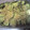 ｘsacchiｘ's cooksnap of when they made ◇えのきとキュウリのマヨあえ◇.