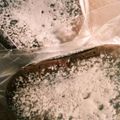 もんちゃきろう's cooksnap of when they made ガトーショコラポップ.