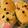 クックBYWB1P☆'s cooksnap of when they made バレンタイン♡バナナチョコチップマフィン.