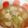 峰みいら's cooksnap of when they made ばあちゃん直伝＊すいとん＊.