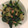 み★★★★'s cooksnap of when they made ぱっと一品☆豆苗とイカ塩辛のバター炒め.