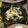 yukanosuke's cooksnap of when they made ほうれん草のサラダ.