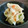 おKAめ's cooksnap of when they made シャキッと大根の梅和え〜★.