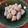 みい５２１２'s cooksnap of when they made 里芋の煮物.