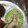 クックEZBI1C☆'s cooksnap of when they made ぱぱっと一品♪アスパラガスのゴママヨ和え.
