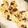 クックCZEY6F☆'s cooksnap of when they made 簡単楽チン失敗しないスコーン.