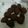 malonshu's cooksnap of when they made バレンタインに♪トリュフ風チョコケーキ.