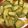 やまときゃろ's cooksnap of when they made ゴリゴリでも大丈夫 アボカドでアヒージョ.