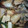 sychanako's cooksnap of when they made カワハギ（ハゲ）の煮付け.