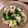lisa_mimi's cooksnap of when they made 簡単彩りレシピ＊豆苗とかまぼこ炒め＊.